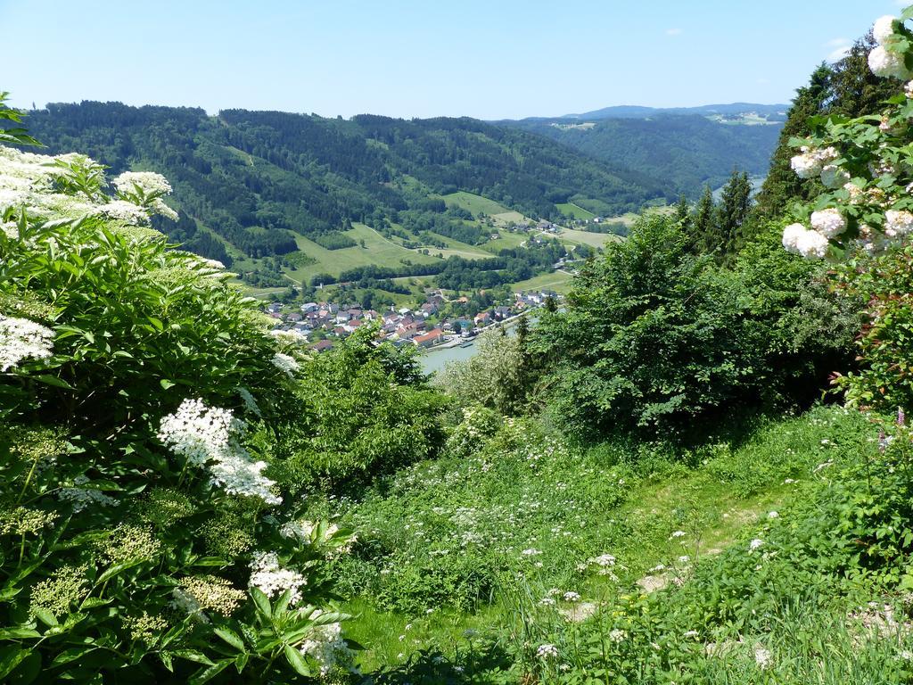 Zum Schiffmeister Wesenufer Luaran gambar
